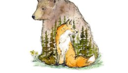 bearandfoxco